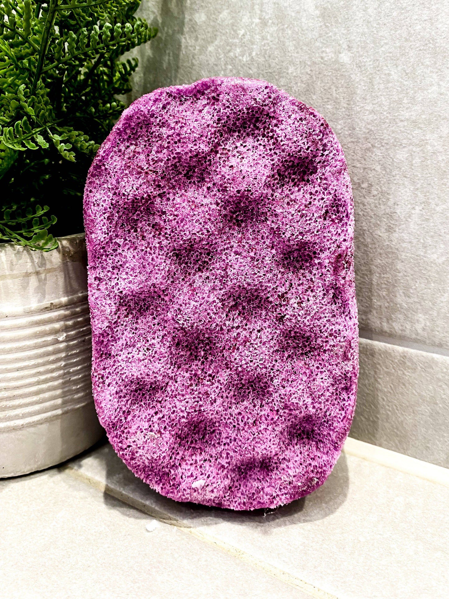 Dark Opium (Twilight) Soap Sponge - Ella and I